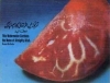 sobhan alah