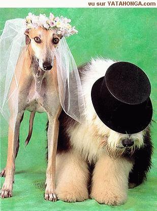 le couple exemplaire lol
