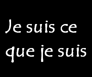 je vous emmerde!!!!!
